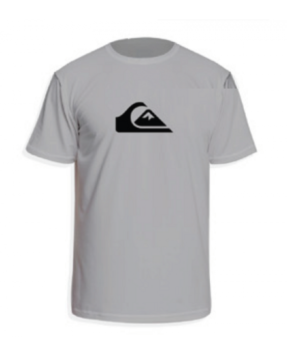 Quiksilver - UV Surf T-shirt for boys - Solid Streak Short sleeve - UPF50 - Gray Violet