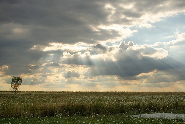 Sun rays